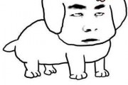 人气居然这么爆！